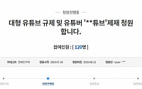 '보람튜브' 靑 국민청원, &quot;일정수익 제한 조치 해주길&quot;…재산권 침해 여지