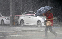 [내일 날씨] 태풍 '프란시스코' 영향…전국 흐리고 비
