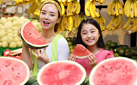 [포토] “산에서 온 수박 맛보세요” 이마트, 고랭지 수박 30% 할인