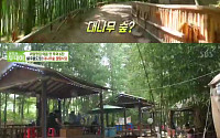 ‘생방송 투데이’ 대나무 숲 캠핑식당, 위치 어디?…2000평 대나무 숲에서 즐기는 바베큐