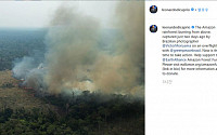 레오나르도 디카프리오, 아마존 화재에 60억 쾌척 '스케일 남다른 기부'