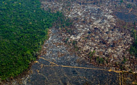 아마존 화재로 궁지 몰린 브라질...브라질산 불매운동 글로벌 확산