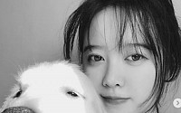[이시각 연예스포츠 핫뉴스] 구혜선 잠정 은퇴·이다희 아나운서·이욱 임지연·'캠핑클럽' 핑클 콘서트