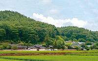 계곡 건너고 솔숲 지나 찾아가는 호젓한 ‘닭실마을’
