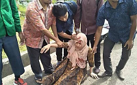 인도네시아 몰루카 제도 규모 6.5 강진…&quot;한국인 피해 확인되지 않아&quot;