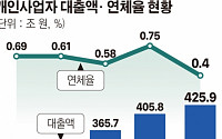 [단독]금감원, 상호금융 ‘꼼수 자영업 대출’ 검사 착수