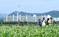 [포토] '메밀꽃 필 무렵'