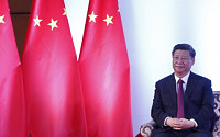 시진핑 “어디서든 중국 분열 시도하면 몸이 가루가 돼 죽을 것”