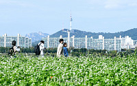 [일기예보] 오늘 날씨, 전국 맑고 아침기온 '뚝↓'…'서울 아침 9도' &quot;미세먼지 농도 '좋음~보통'&quot;