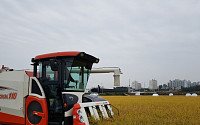 농협, 올해산 쌀값 지지에 총력…농가 희망물량 전량 매입