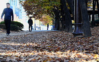 [포토] '낙엽길을 걷다'