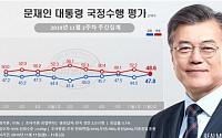 문재인 대통령 국정지지율 47.8%…한주간 3.3%P 상승