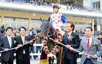 [경마]오경환 기수, 서울경마공원 체면 살렸다