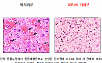 셀리버리 “중증패혈증 치료신약 ‘iCP-NI’ 임상 진입 박차”