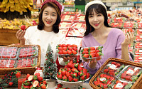 [포토] 이마트 “겨울 딸기 1팩에 9800원에 팔아요”