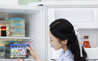 [홈앤라이프] 점점 더워지는데 냉장고 속 괜찮을까?