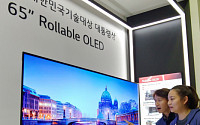 LG디스플레이 '롤러블 올레드'…산업기술 R&amp;D 대전 ‘대통령상’ 수상