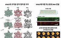 송지준ㆍ이자일 교수 연구팀, 초저온 전자현미경으로 '암 유발인자' 구조 규명