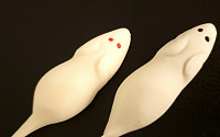 이마트24, '흰쥐의 해' 맞아 흰쥐 마시멜로 선보여