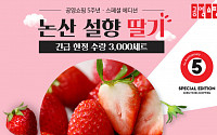 공영쇼핑, 개국 5주년 특별 기획 첫 번째 ‘논산 설향 딸기’ 판매