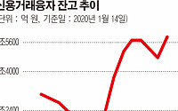 ‘빚 내서 테마주 투자’ 신용매수 고공행진