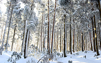 겨울왕국, 한라산 눈꽃산행