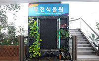 부천 실내식물원의 아름다움