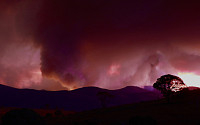 다시 격화하는 호주 산불…수도 캔버라에 비상사태 선포
