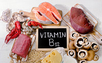 비타민B12 결핍 방치하면 "치매 위험 키운다"