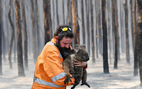 호주 산불 사태, 약 6개월 만에 공식 종료…뉴사우스웨일스주 “완전 진압”