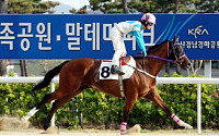 [경마]미스터파크, 15연승 달성할까