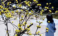 [포토] '시나브로 봄'