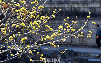 [포토] '어느새 봄'