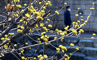 [포토] '봄 봄'