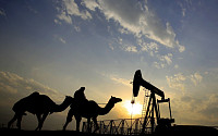 IEA “올해 세계 석유 수요, 2009년 이후 첫 마이너스” 전망