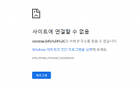 공적 마스크 웹ㆍ앱 서비스 첫날 '버벅버벅'…진흥원 &quot;조만간 안정화될 것&quot;