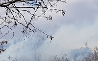 인천 연수구 옥련동 연경산 산불…강한 바람에 진화 어려워