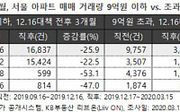 12.16대책 이후, 서울 9억 초과 아파트 매매 '61% 감소'