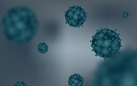 중국 '한타바이러스' 1명 사망…코로나 이은 한타바이러스 증상은?