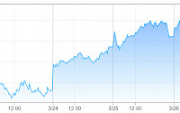 [상보] 뉴욕증시, 대규모 부양책 기대감에 상승…다우 6.38%↑