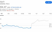 테슬라, 코로나19에도 잘 나가네...1분기 출하량 예상 웃돌며 주가 17% 폭등