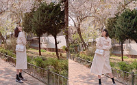 권나라 산책 일상 공개…벚꽃 앞에 선 여신 자태 &quot;더 예쁜 사진을 갖고 왔다&quot;