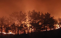 서산 산불, 12시간 만에 진화 '화재 원인은?'…인명·시설물 피해 無
