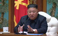 [종합]김정은 '건강이상설' 논란...청와대 &quot;김정은 지방 체류중...북한 특이동향 없다&quot;
