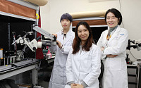 KAIST, 두뇌인지 기능조절 '신경 펩타이드' 발견