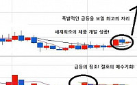 [증권정보] 지금 100만원만 있으면, 세계1위의 기적주를 매수!