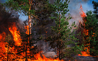 &quot;한해 피해액만 2680억&quot;…반복되는 대형 산불, 원인은 '기후변화'