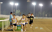 [경마]마사회, 8월5일 '야간 경주로 마라톤대회' 개최