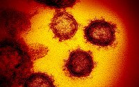중국 칸시노 개발 코로나19 백신, 임상 1상서 면역 반응 확인