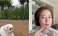 김영희, 유기견에 분노…용인에 버려진 강아지 “CCTV 다 찍혔다”